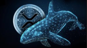 XRP Siap Meroket? Analisis Pergerakan Harga dan Aktivitas Whale Juni 2024!