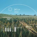 agriculture and AI