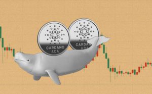 Cardano (ADA) Meroket 17%: Cardano Bersiap Lakukan Upgrade Chang!