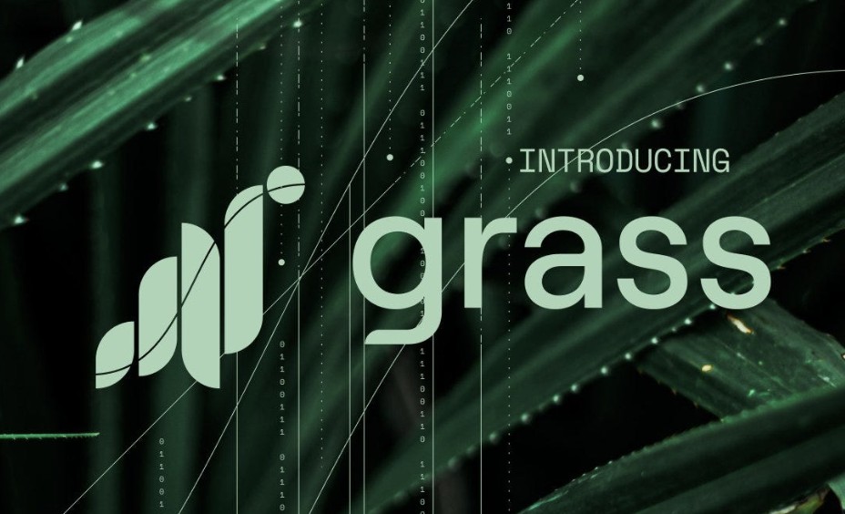 grass crypto