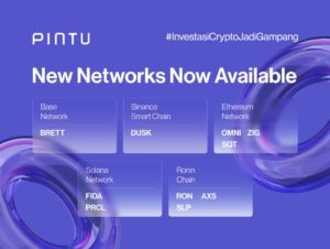 Pintu Perluas Network Baru: Base, BSC, ERC-20, Solana, dan Ronin Chain