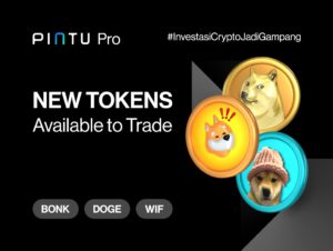 Token Listing Pintu Pro 24 Juni 2024: BONK, WIF, dan DOGE