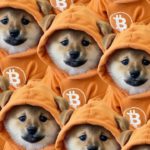 DOG•GO•TO•THE•MOON crypto