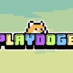 playdoge