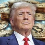 dukungan donald trump crypto