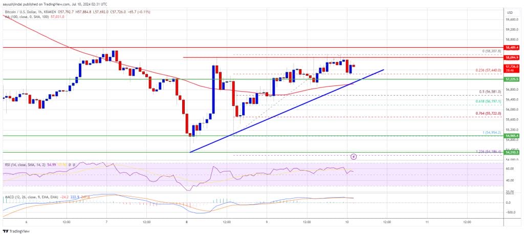 btc price prediction