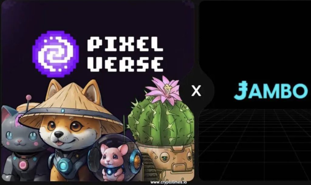 kolaborasi pixelverse dan jambo