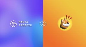 Meme-ta Szn: Manta Network dan BONK Siap Membakar Ruang Web3!