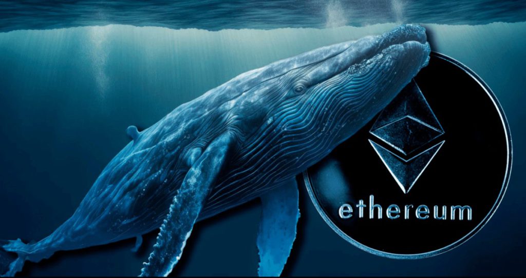 whale ethereum