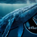 whale ethereum