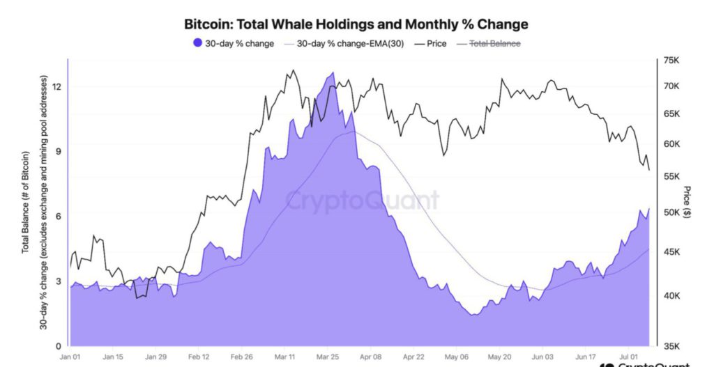 whale holdings cryptoquant