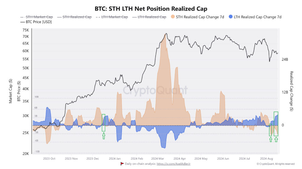 btc long term holder