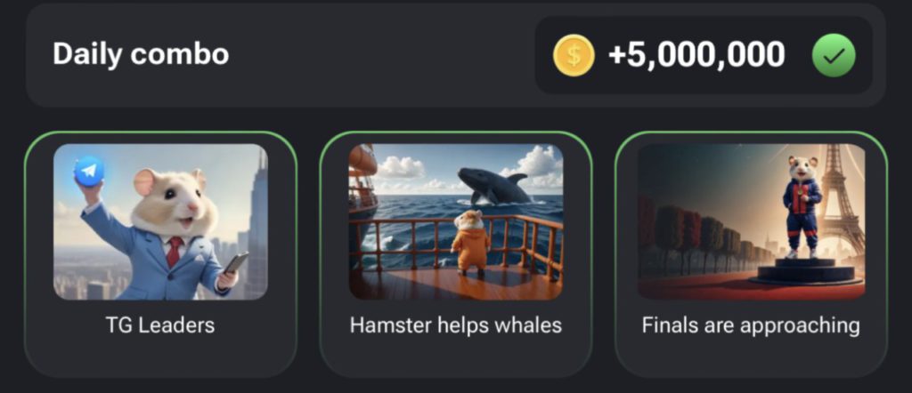 daily combo hamster kombat 12 agustus 2024