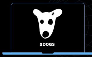 DOGS Coin ($DOGS) Bakal Listing di Bybit pada 26 Agustus 2024!