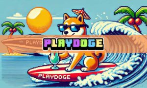 Prediksi Harga PlayDoge (PLAY) 2024, 2025, dan 2030