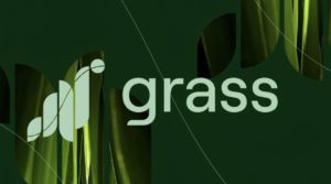 Grass Crypto Resmi Diluncurkan, Distribusi Token $GRASS Dimulai!