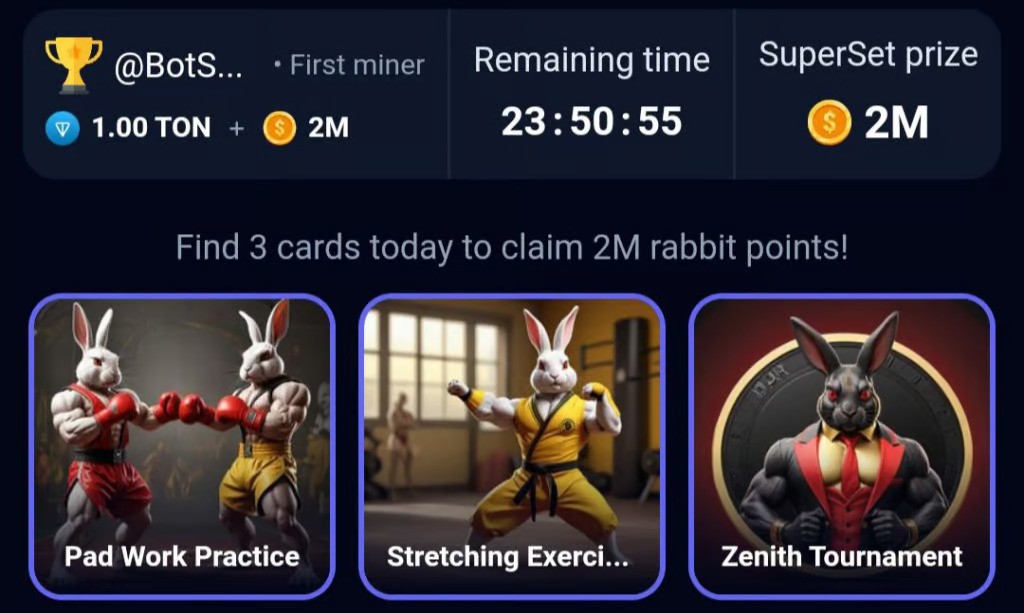 daily combo rocky rabbit 17 september 2024