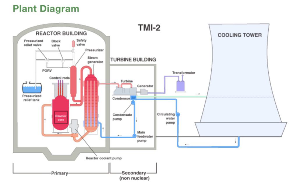 plant diagram