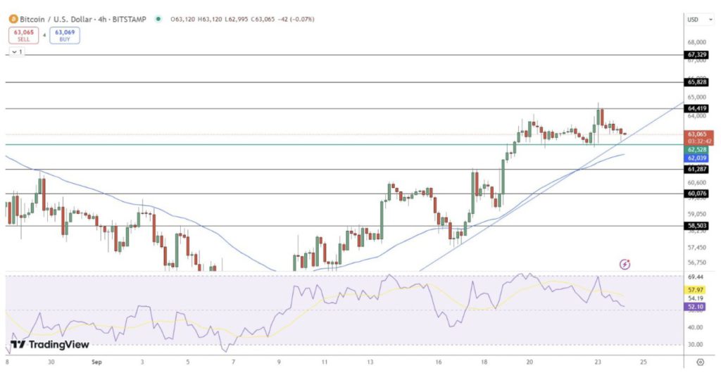 prospek harga bitcoin 2024