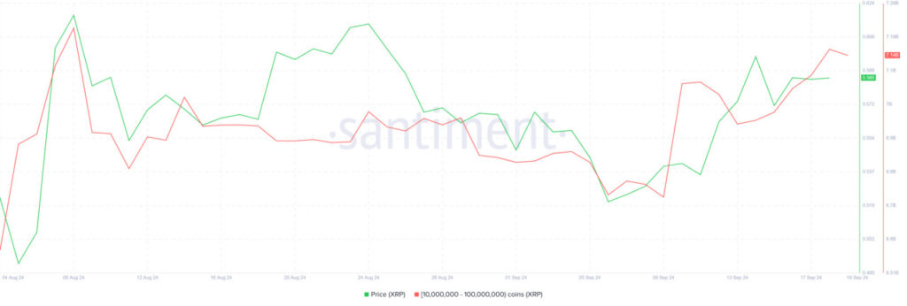 xrp whale holdings