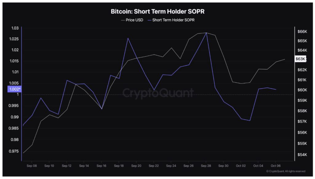 bitcoin short term holder