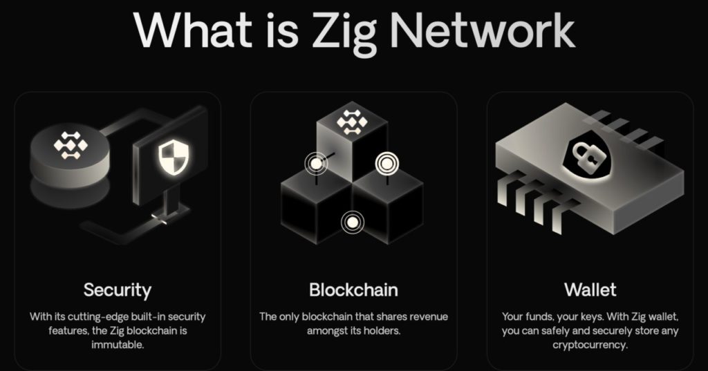 Zig Network