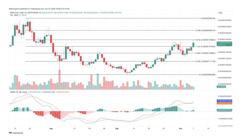 mog coin 8 oktober