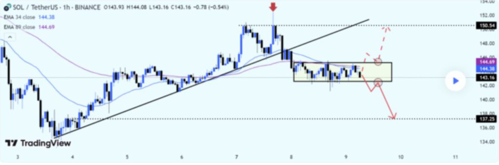 prediksi harga solana