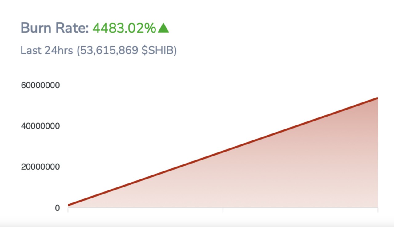 Lonjakan Burn Rate Shib Capai Shiba Inu Siap Meroket Pintu News