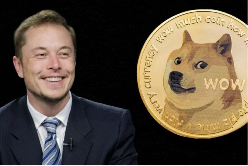 elon musk dogecoin