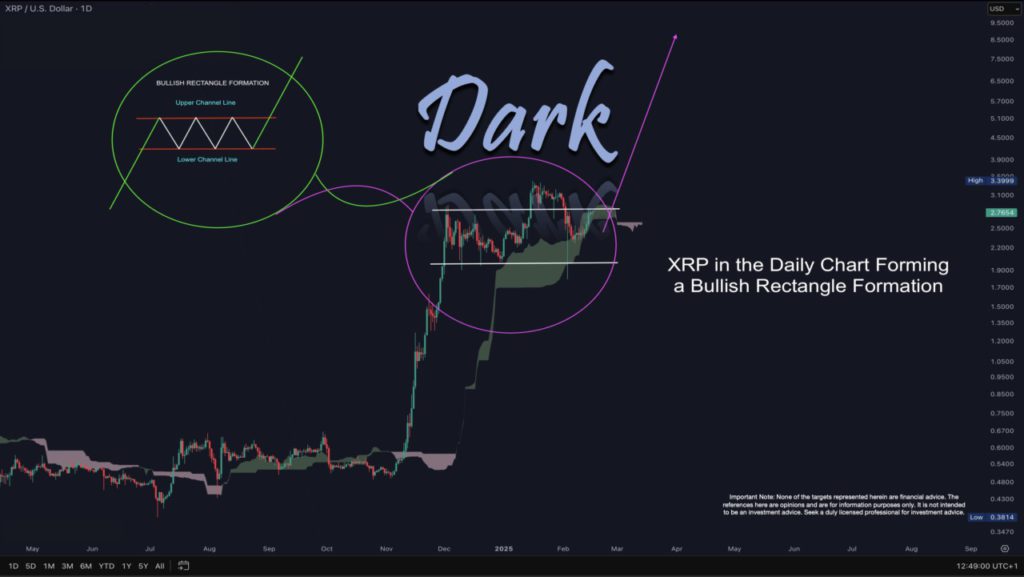 dark defender xrp