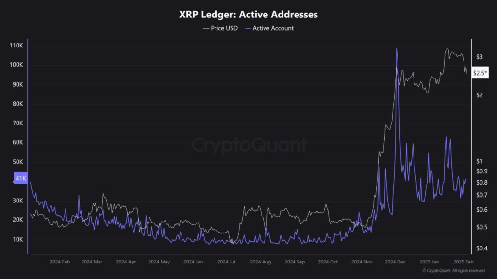xrp ledger