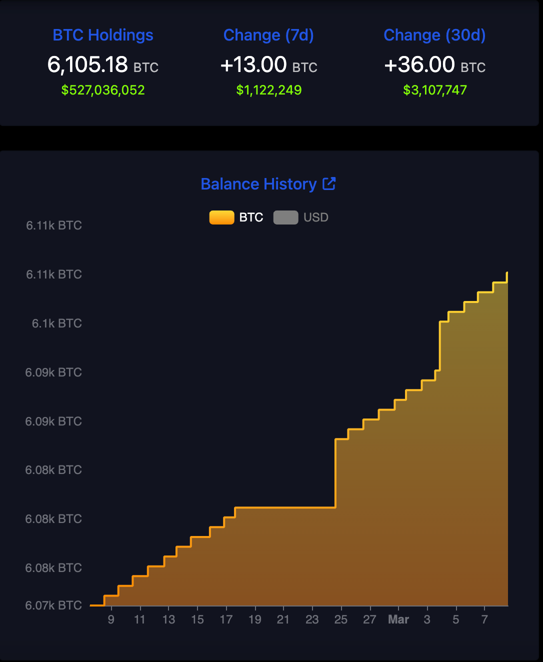 bitcoin holdings