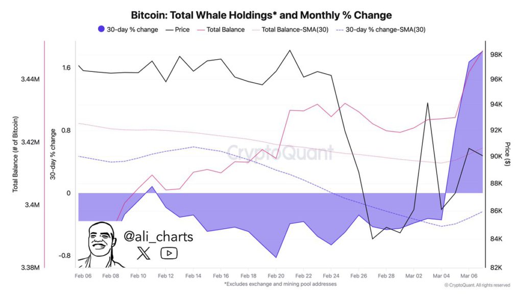 btc whale holdings