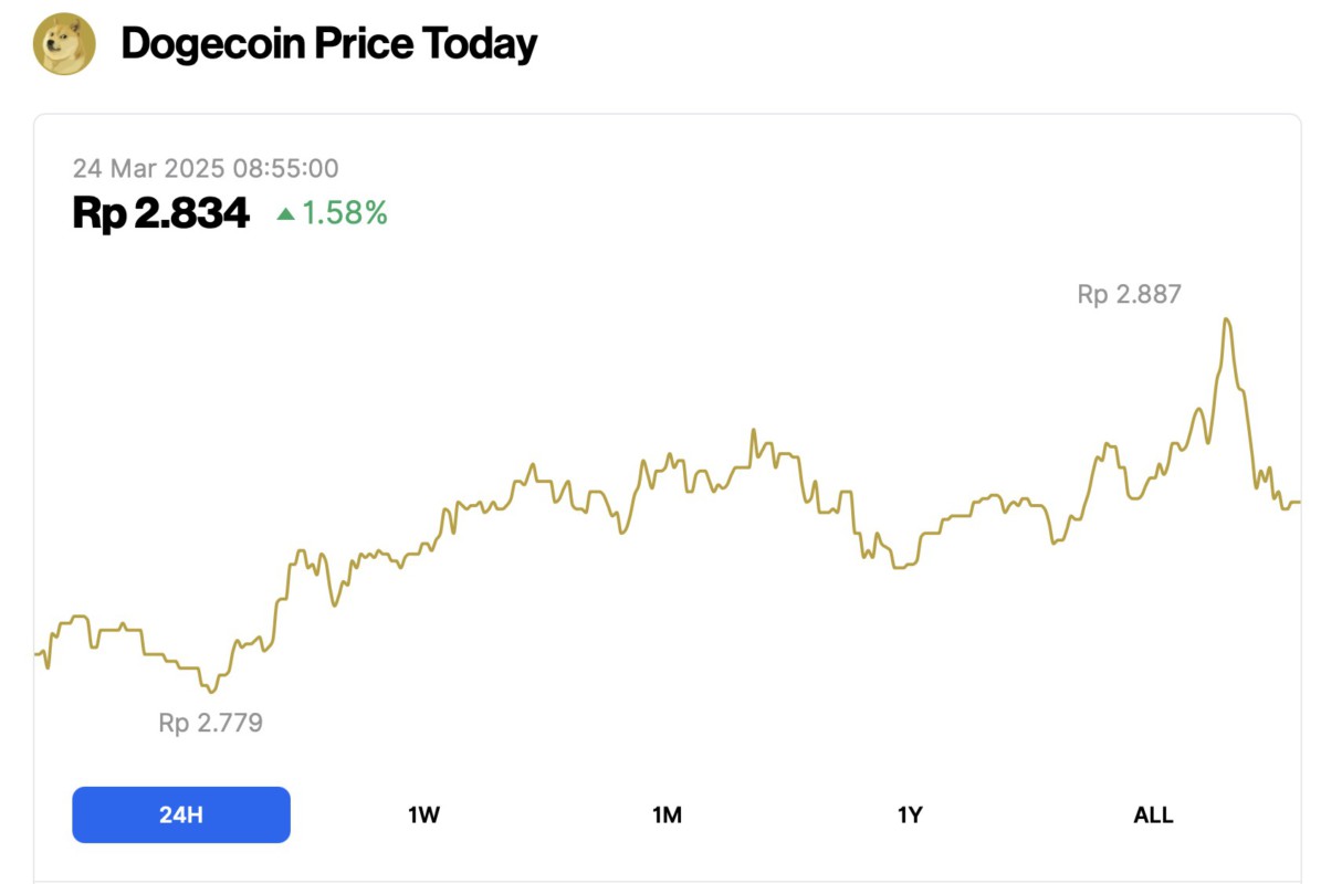 Harga 1000 DOGE (24/3/25): Setara dengan 4 Tumblr Stanley 40 OZ? - Pintu  News