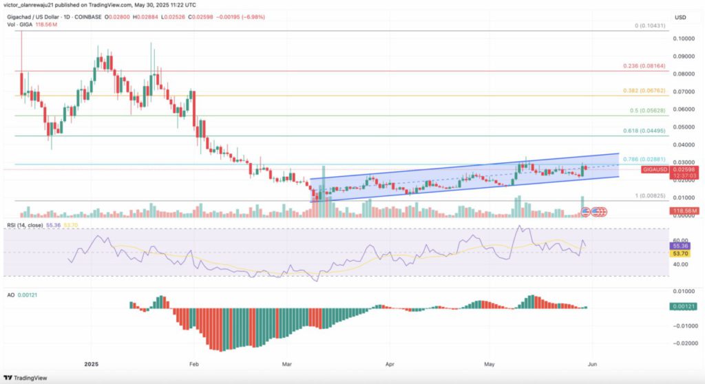 meme coin worth monitoring June 2025