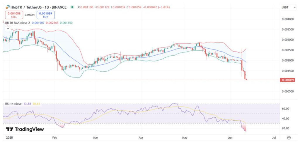 harga hamster kombat 