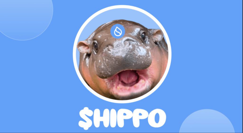 sudeng hippo memecoin