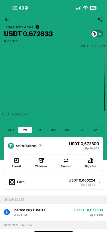 wallet usdt pintu