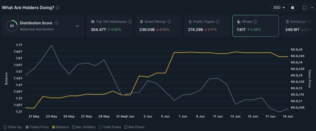 whale crypto borong pepe coin