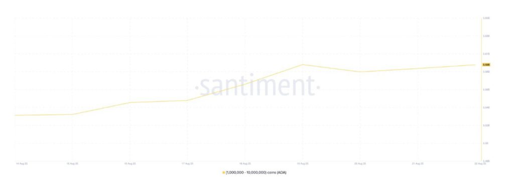 ada supply distribution