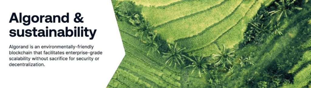 algorand green crypto