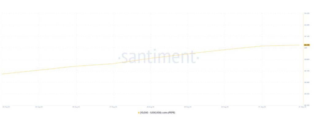 pepe supply distribution