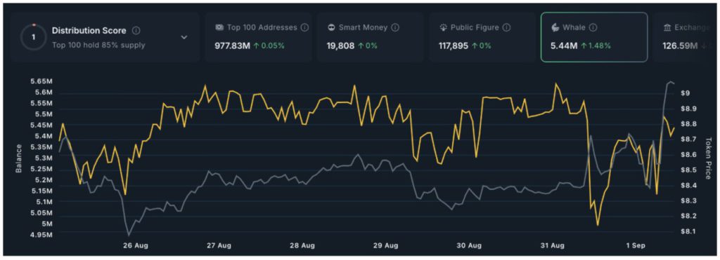 trump whale activity