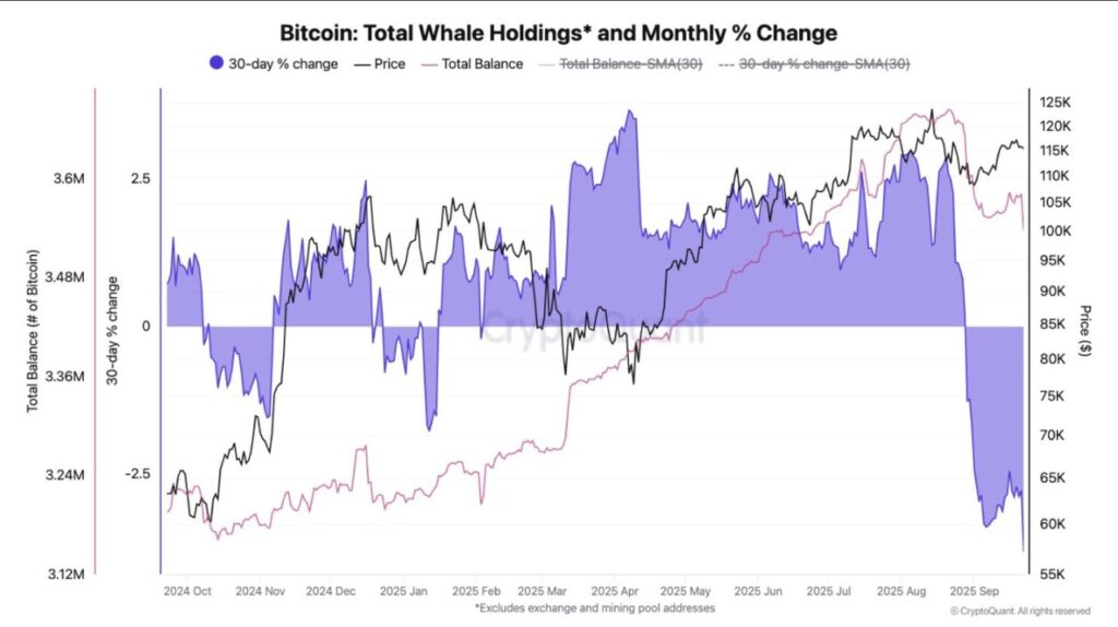 bitcoin whale