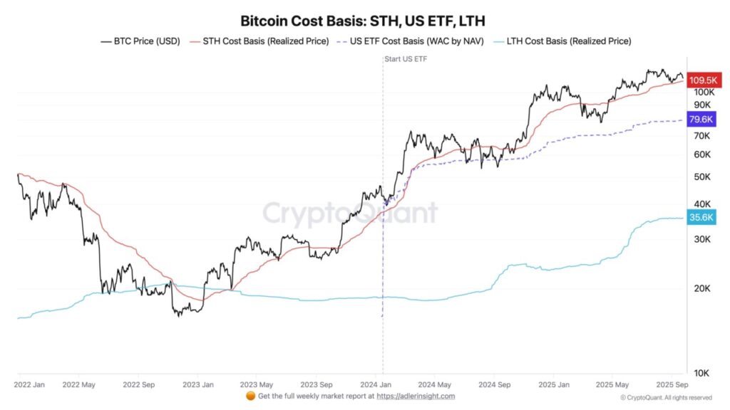 bitcoin cost basis