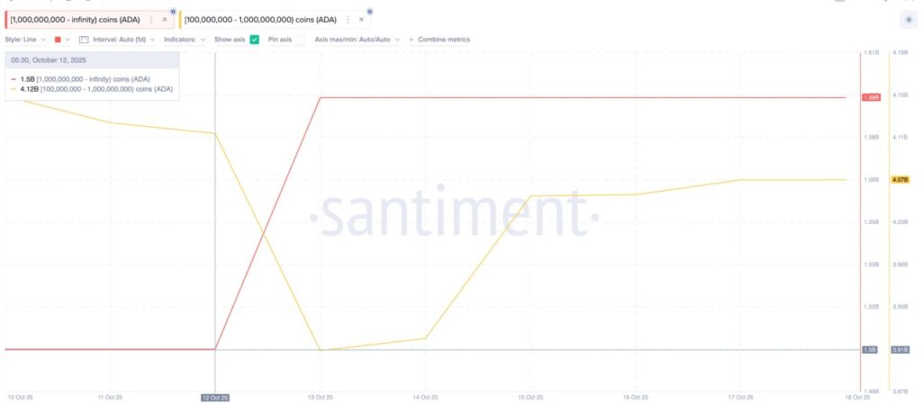 cardano whale accumulation