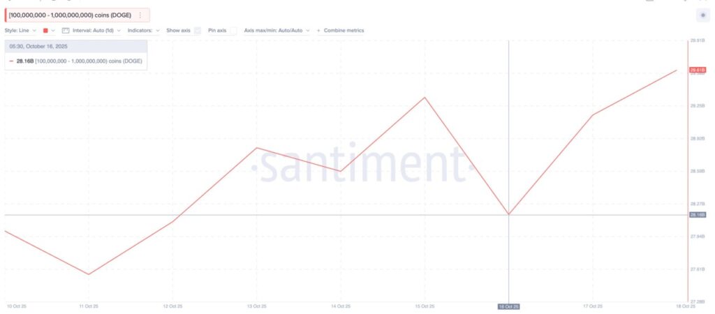 accumulation of whale doge