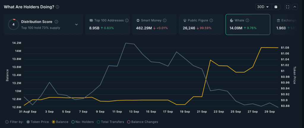 ondo holder activity