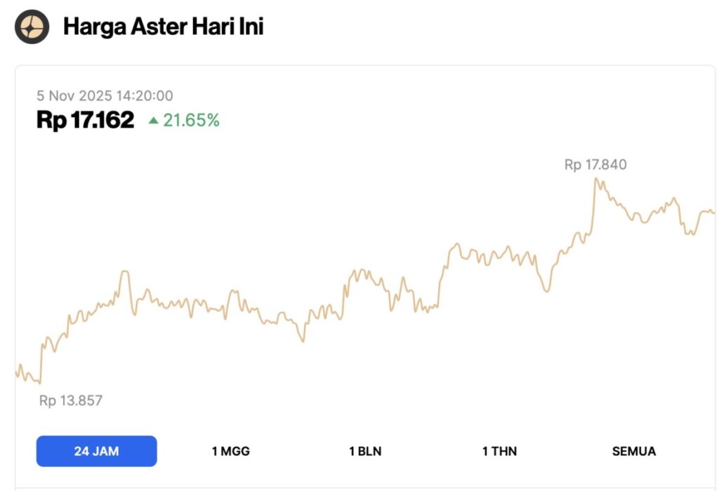 harga aster